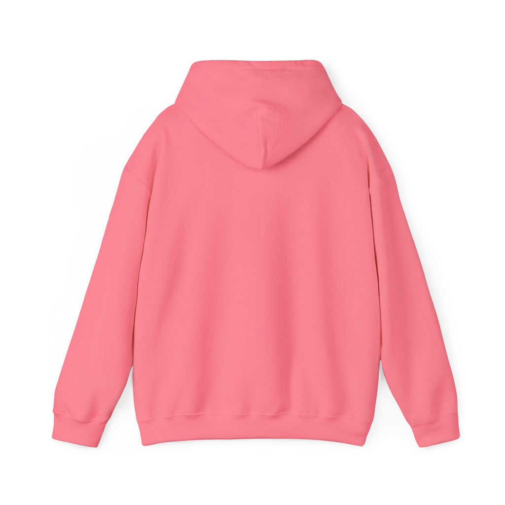 Motivational Hooded Sweatshirt - 'Money Never Sleeps' - Unisex Heavy Blend