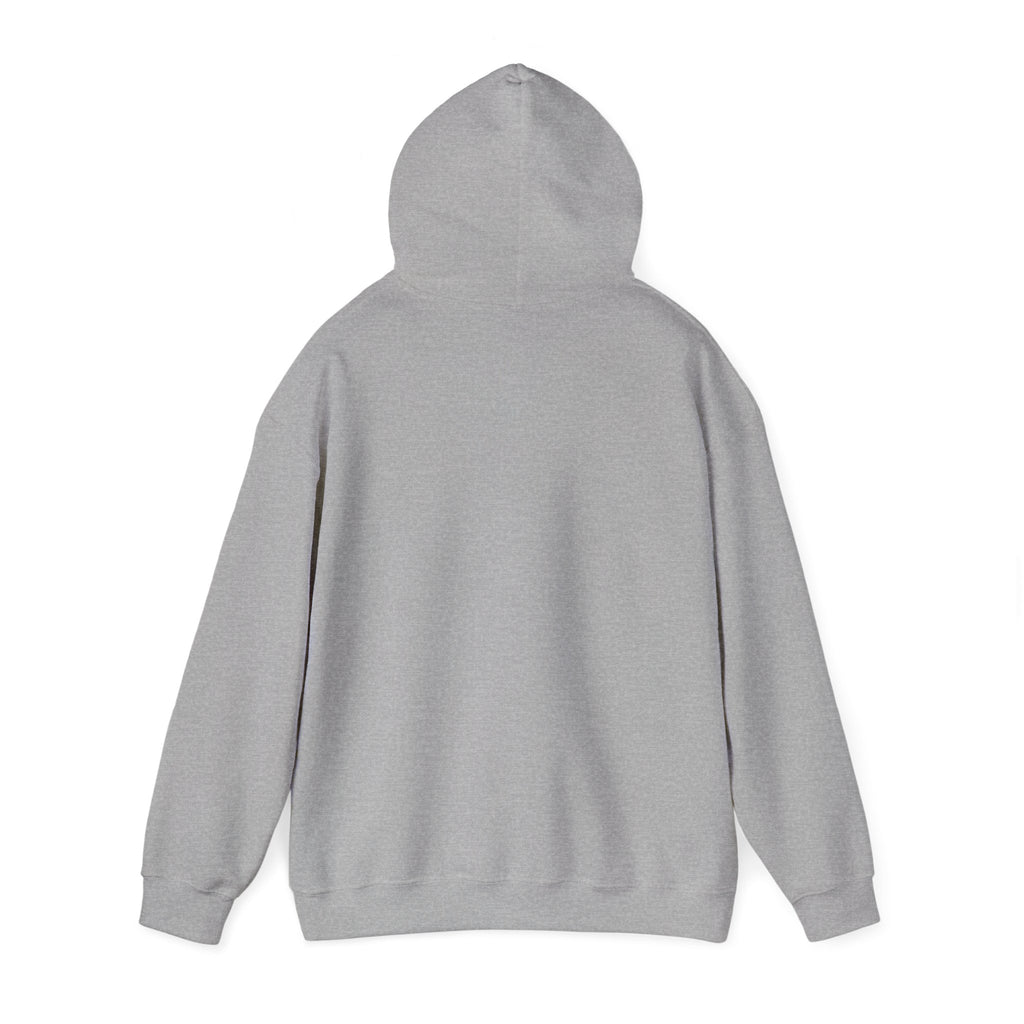 Motivational Hooded Sweatshirt - 'Money Never Sleeps' - Unisex Heavy Blend
