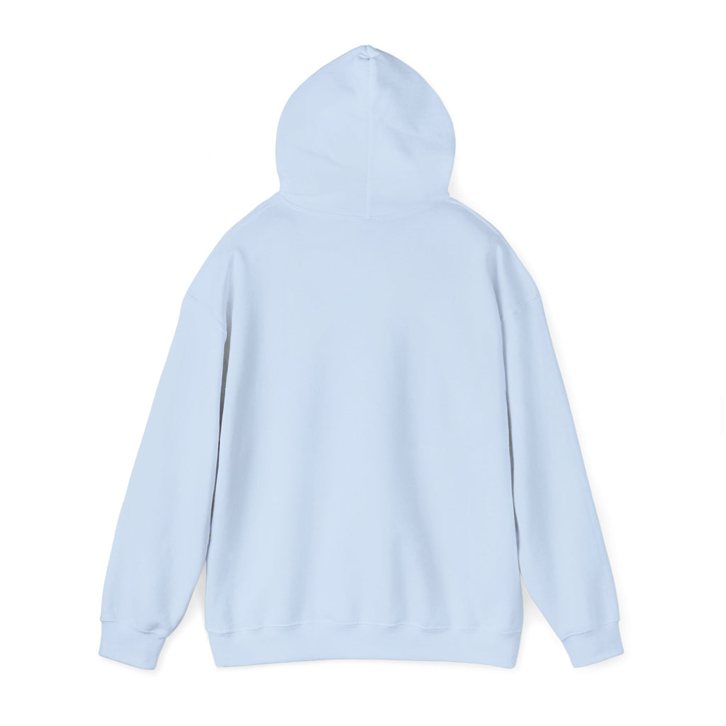 Passive Income Playmaker Hoodie, Ideal for Gamers, Entrepreneur Gift, Cozy Sweatshirt, Casual Wear, Birthday Present