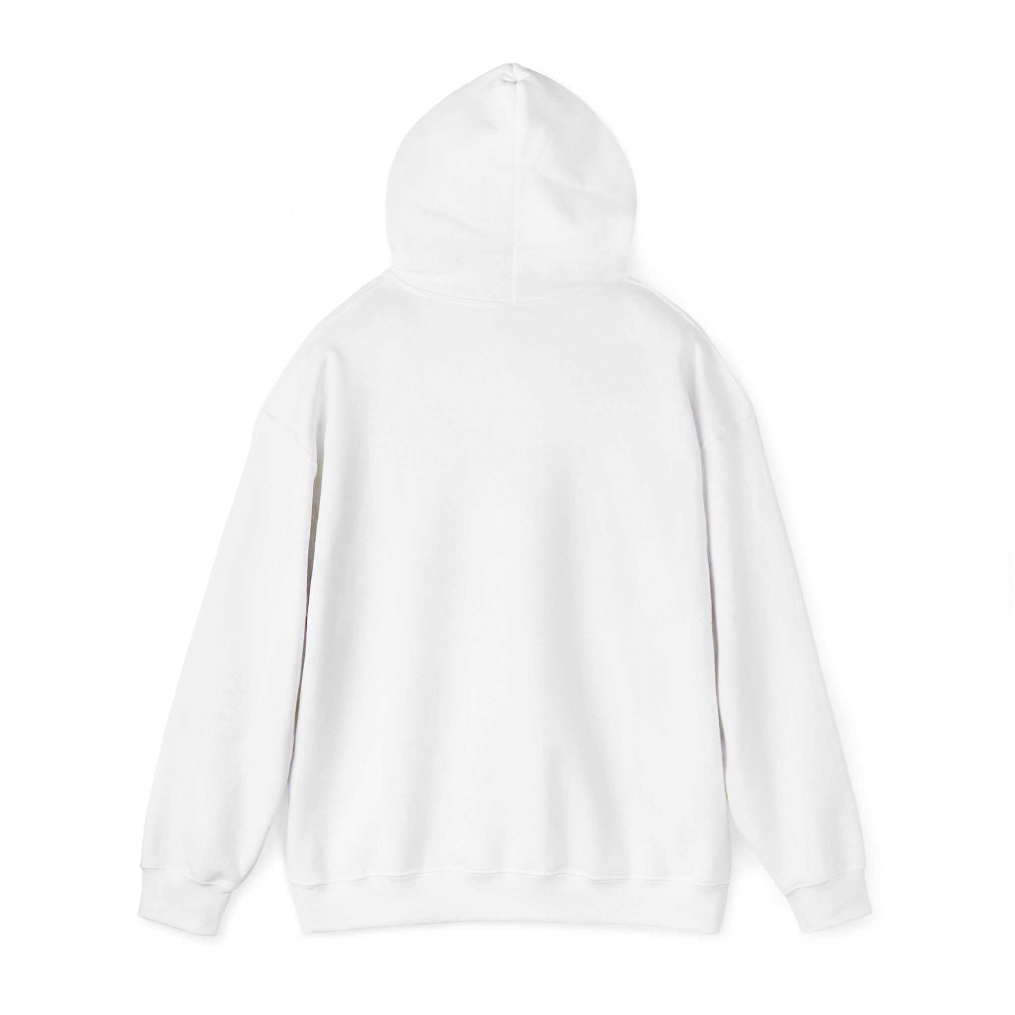 Empowering Credit Sweatshirt: Perfect for Financial Enthusiasts, Motivational Gift, Cozy Casual Wear, Credit Awareness, Unisex Hoodie