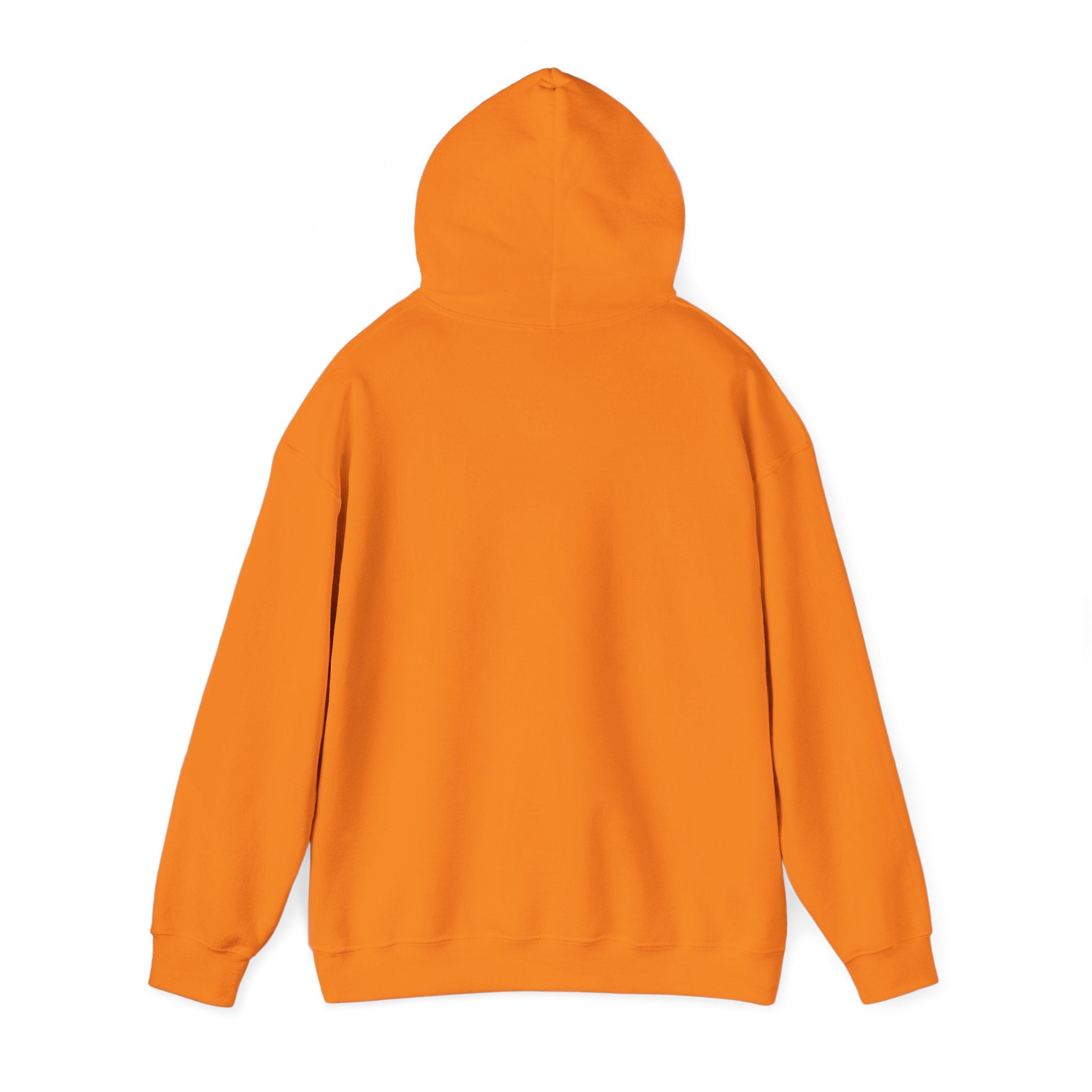 Asset Producing Income Hoodie for Entrepreneurs