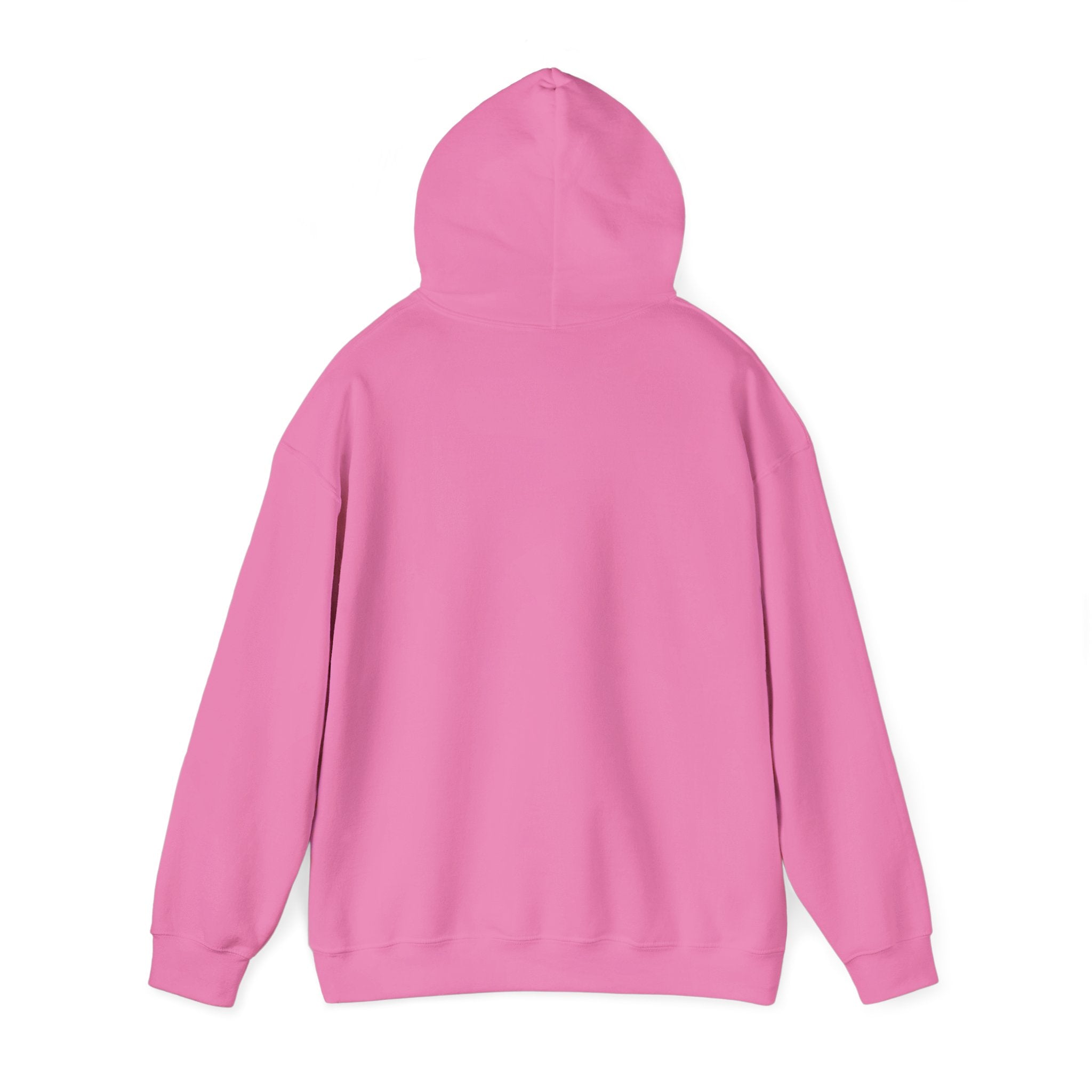 Asset Producing Income Hoodie for Entrepreneurs