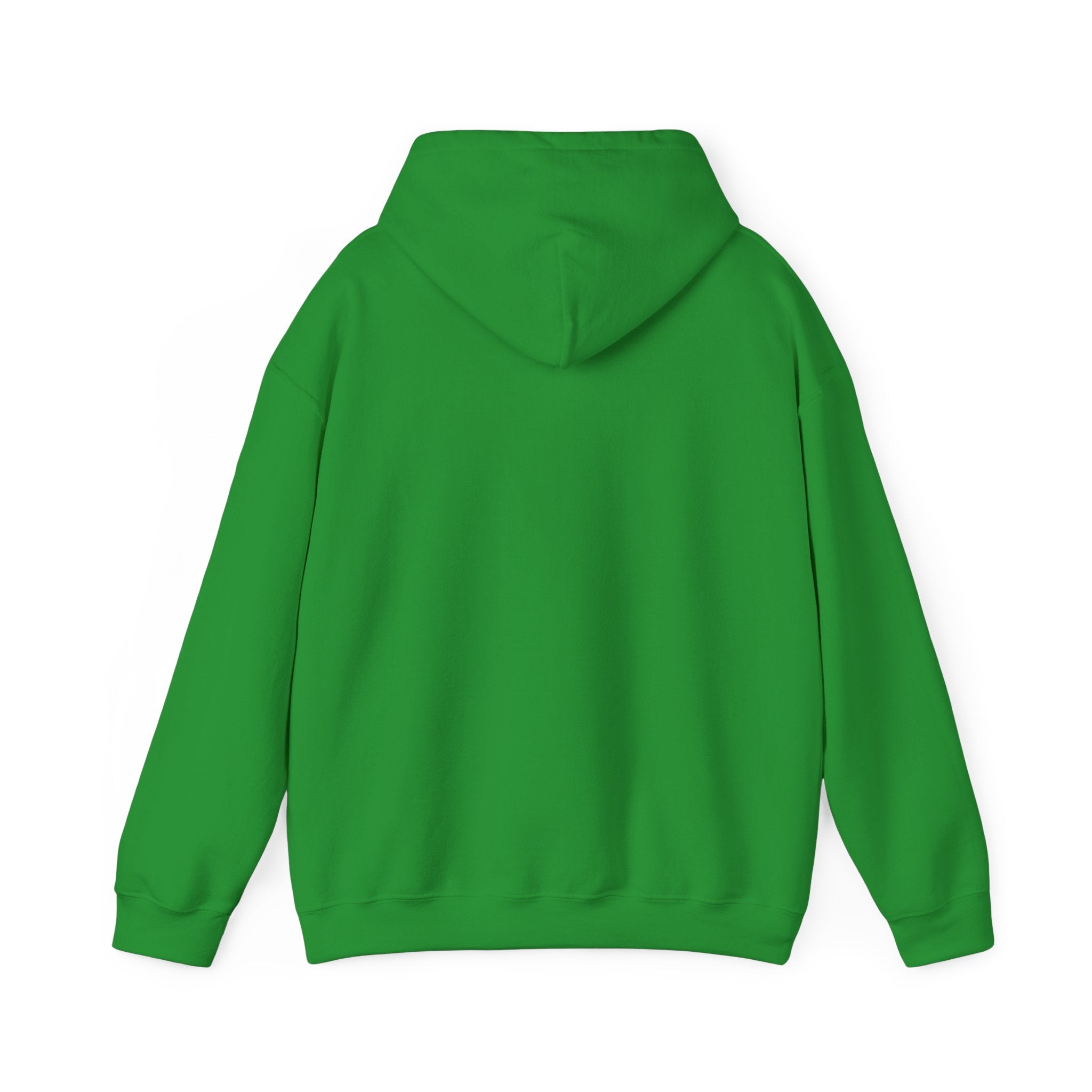 Asset Producing Income Hoodie for Entrepreneurs
