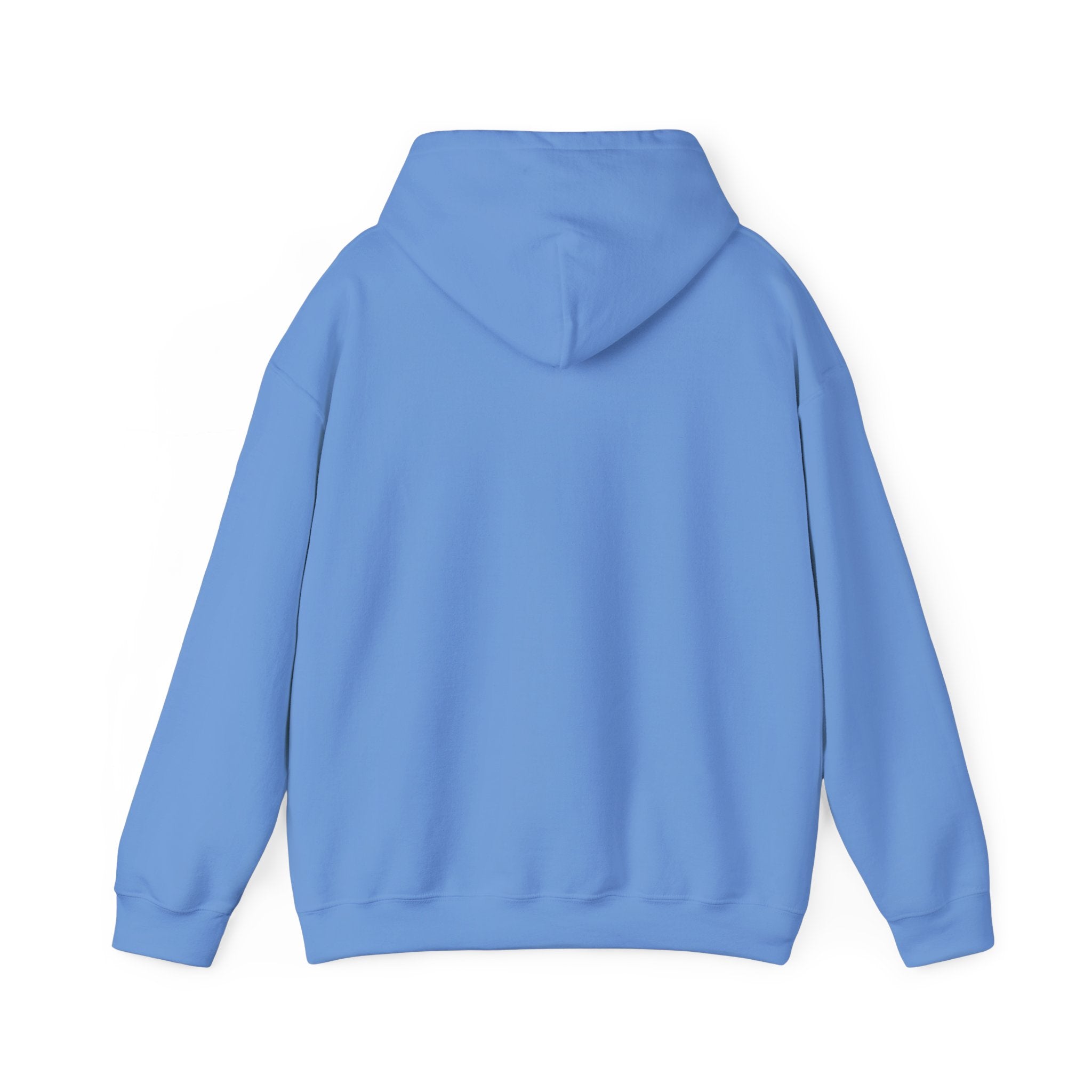 Asset Producing Income Hoodie for Entrepreneurs