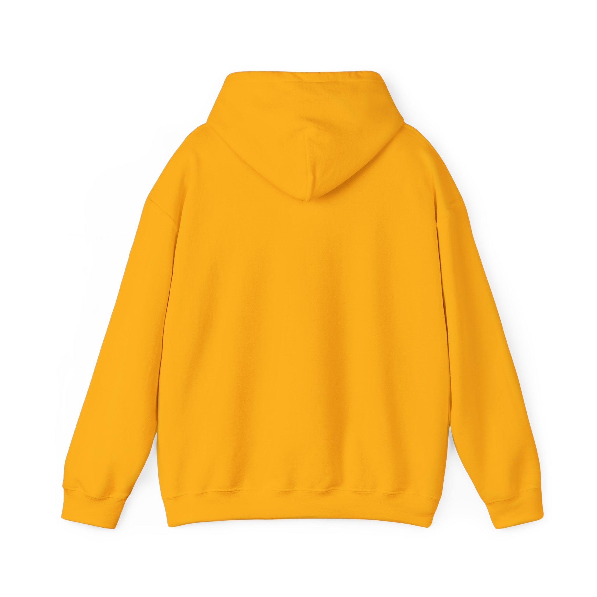 Asset Producing Income Hoodie for Entrepreneurs