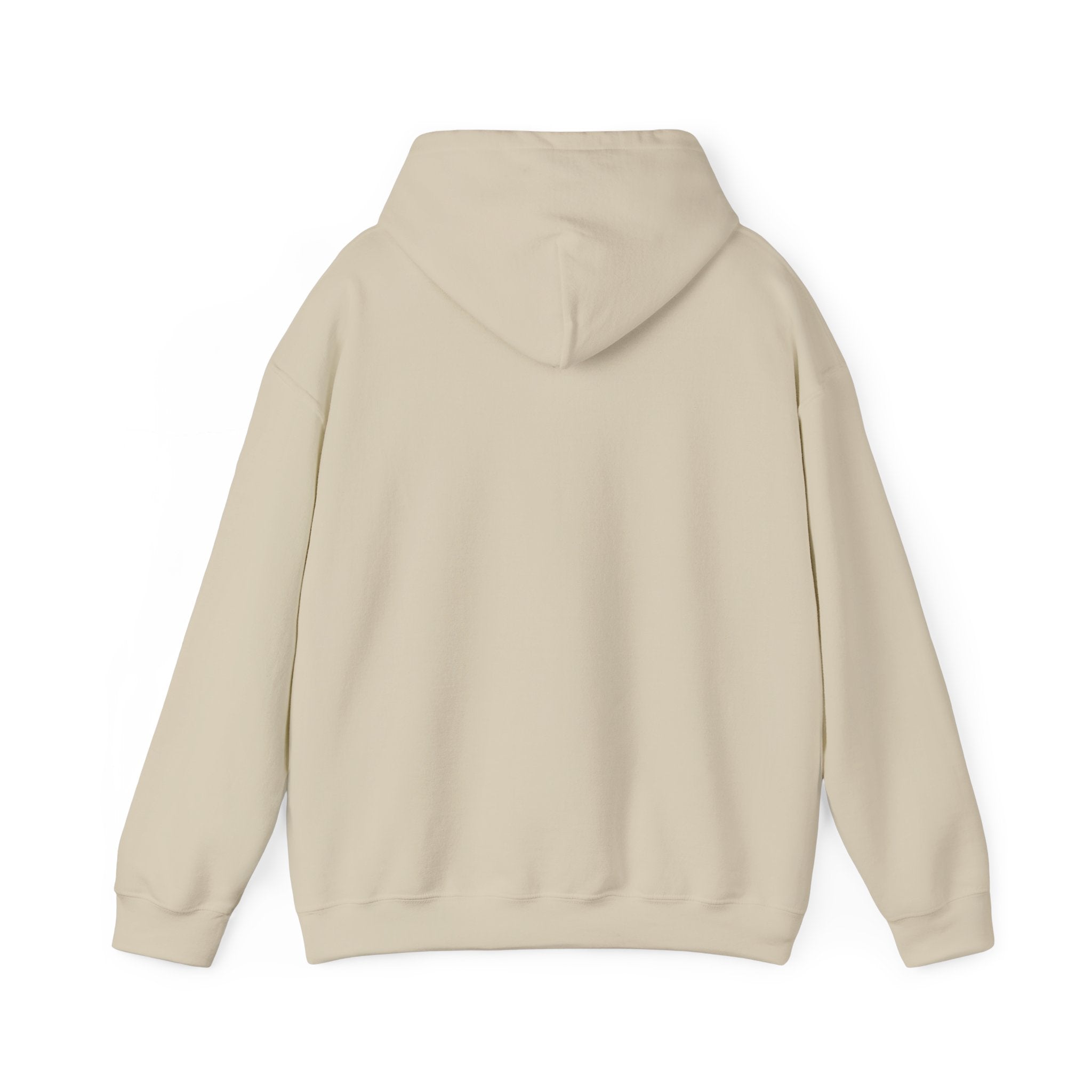 Asset Producing Income Hoodie for Entrepreneurs
