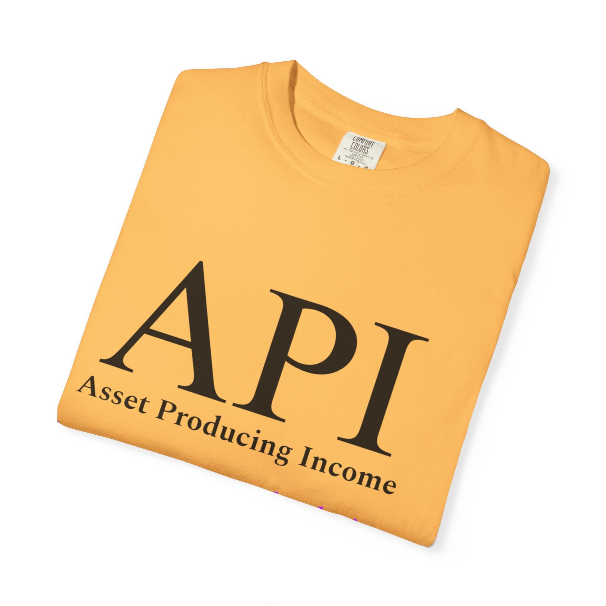 API Money Never Sleeps Unisex Garment-Dyed T-Shirt - Financial Motivation Tee
