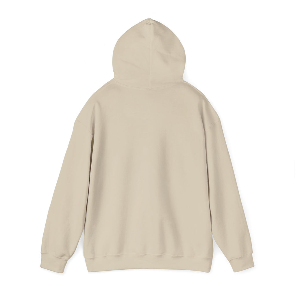 Asset Producing Income Hoodie for Entrepreneurs