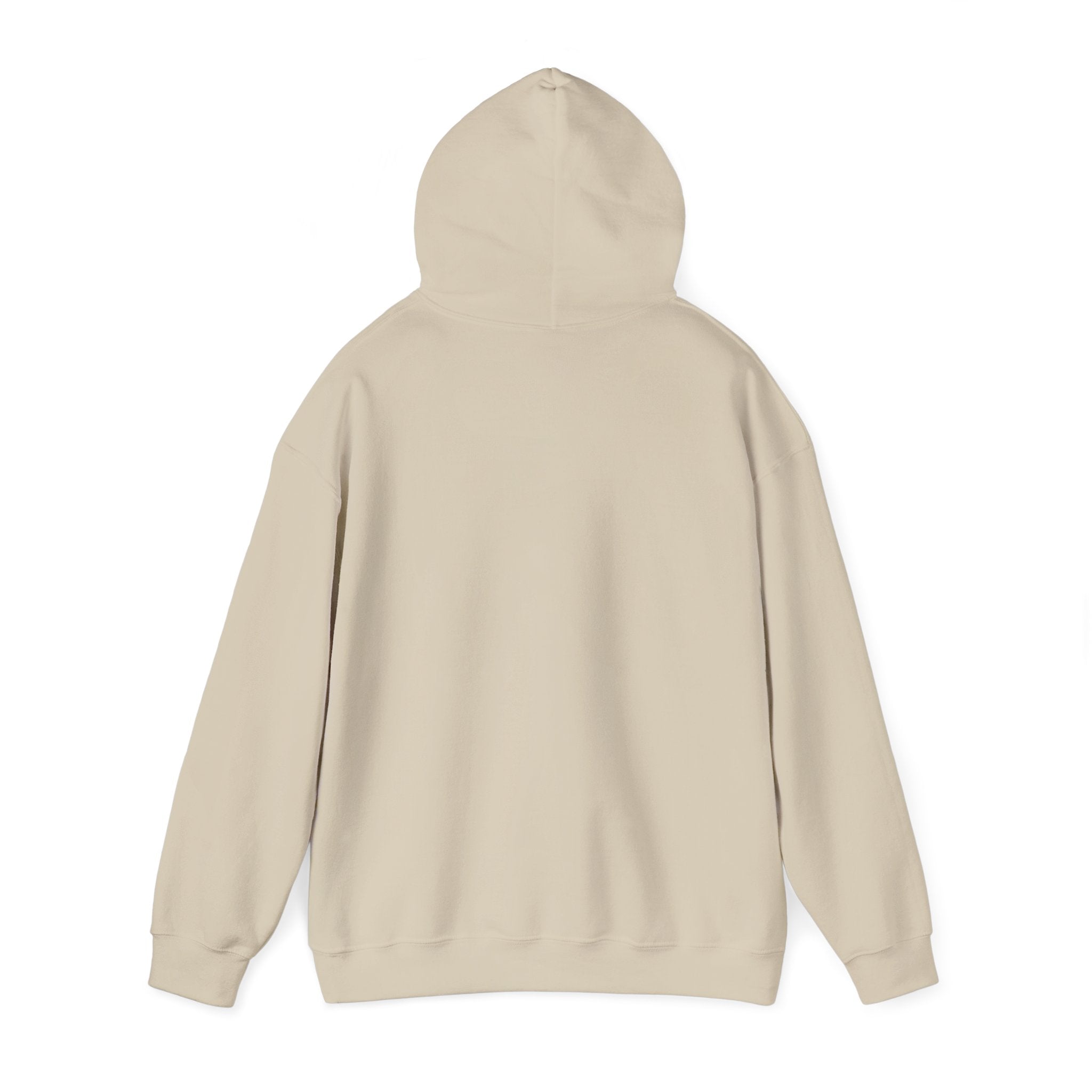 Asset Producing Income Hoodie for Entrepreneurs