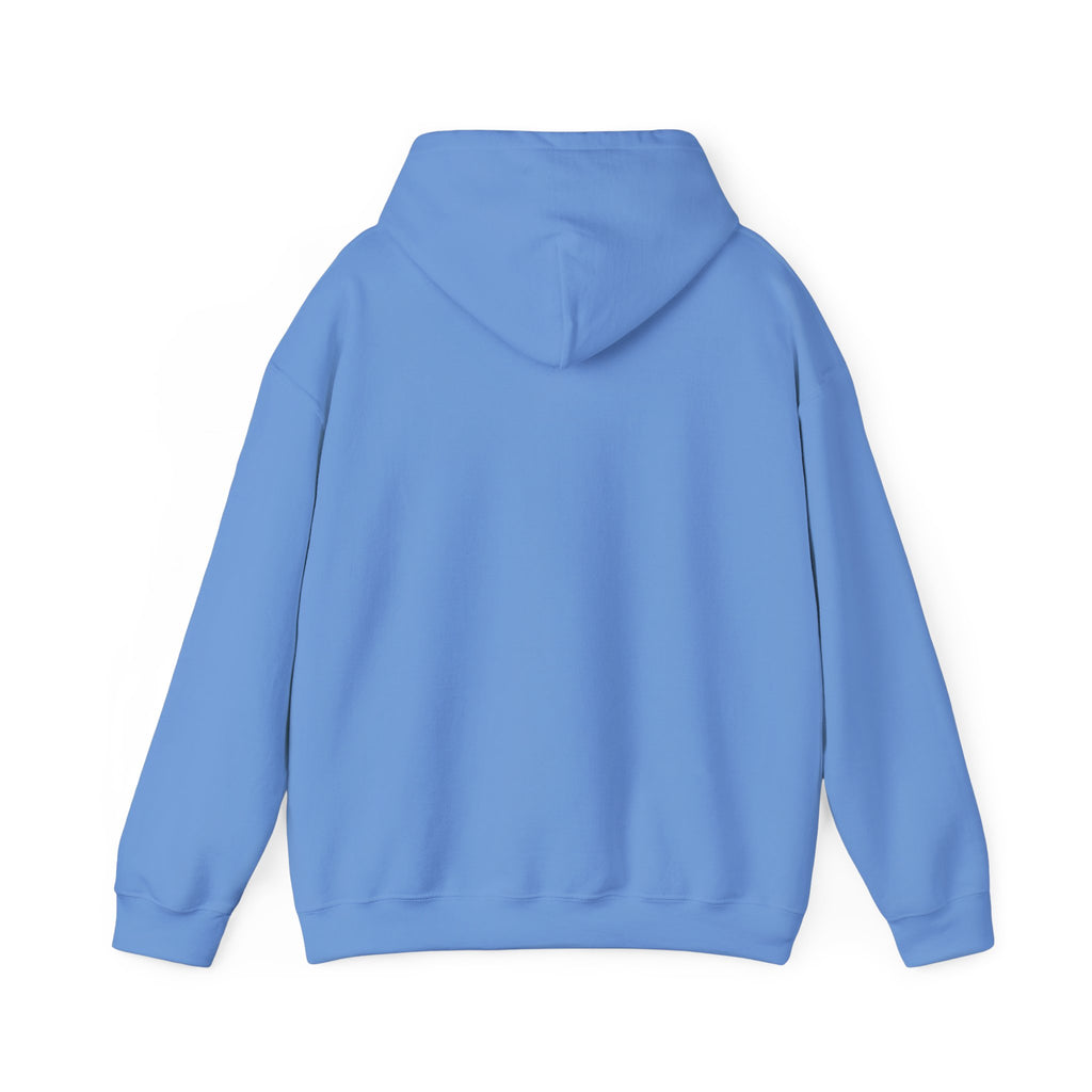 Empowering Credit Sweatshirt: Perfect for Financial Enthusiasts, Motivational Gift, Cozy Casual Wear, Credit Awareness, Unisex Hoodie