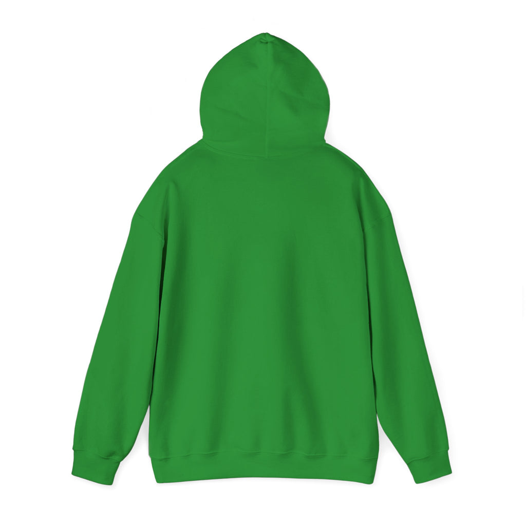 Motivational Hooded Sweatshirt - 'Money Never Sleeps' - Unisex Heavy Blend