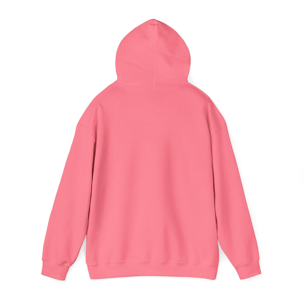 Asset Producing Income Hoodie for Entrepreneurs