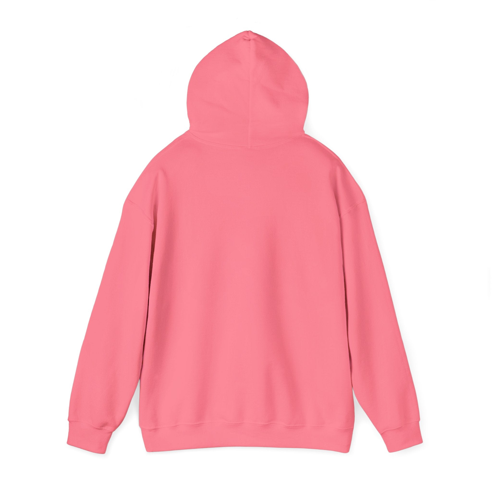 Asset Producing Income Hoodie for Entrepreneurs