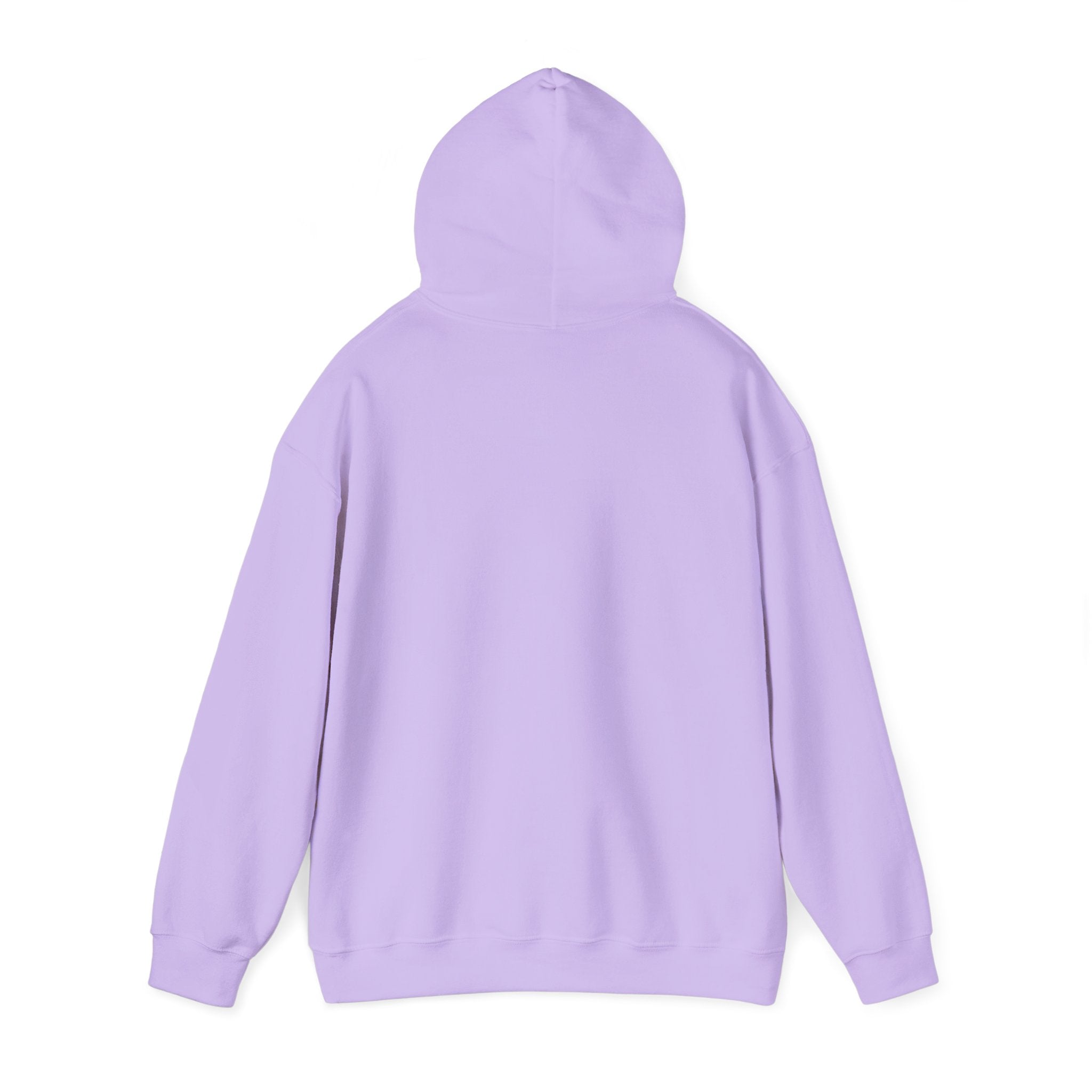 Empowering Credit Sweatshirt: Perfect for Financial Enthusiasts, Motivational Gift, Cozy Casual Wear, Credit Awareness, Unisex Hoodie