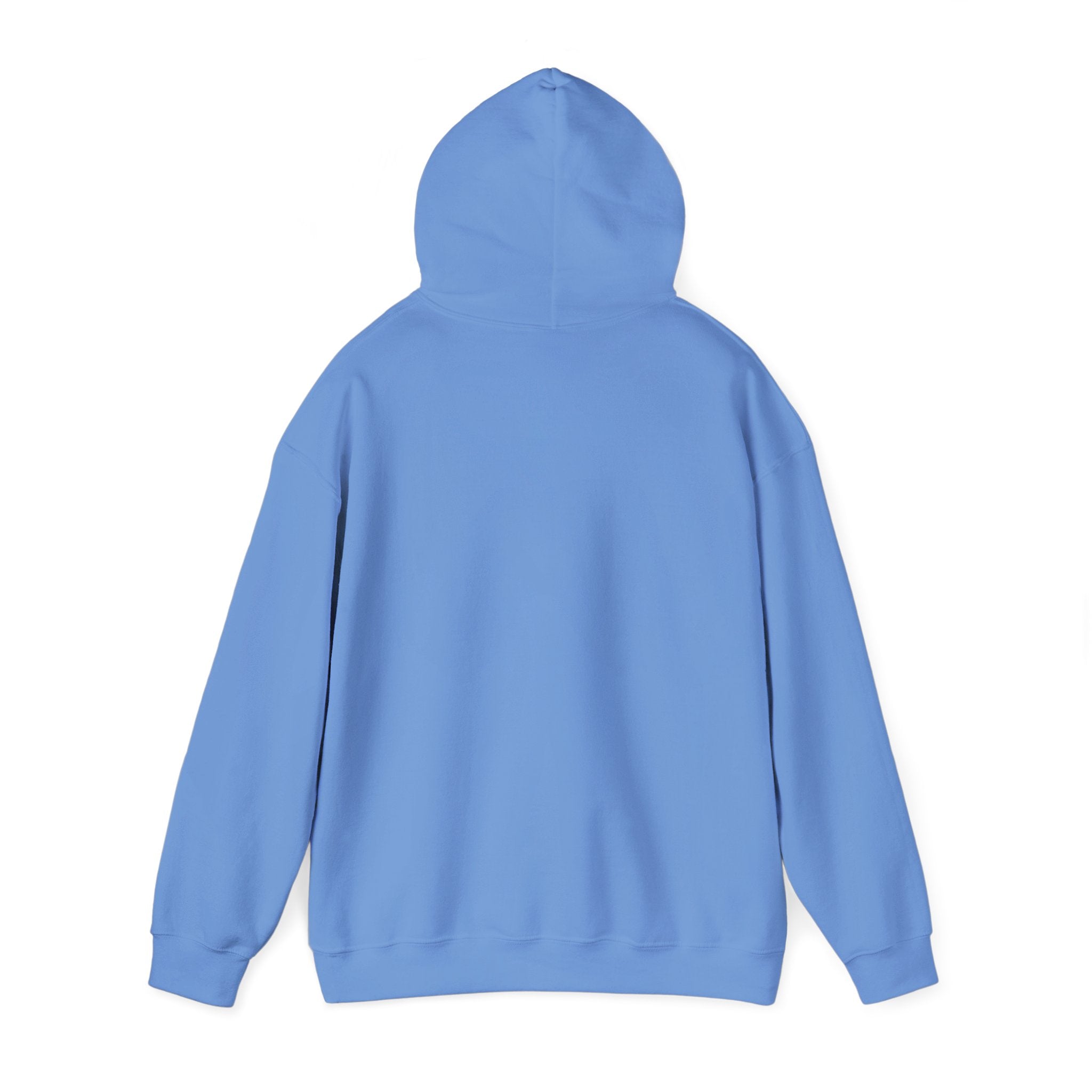 Asset Producing Income Hoodie for Entrepreneurs