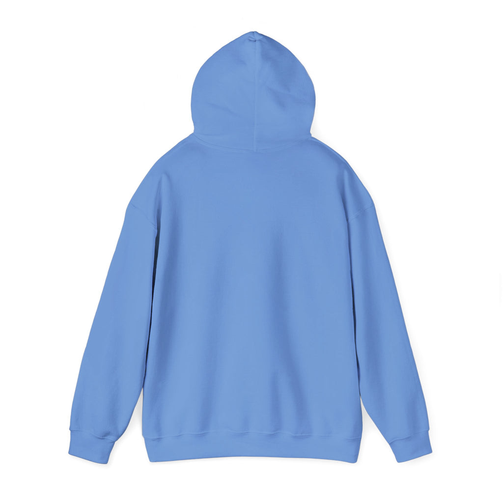 Empowering Credit Sweatshirt: Perfect for Financial Enthusiasts, Motivational Gift, Cozy Casual Wear, Credit Awareness, Unisex Hoodie